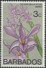 Colnect-1784-668-Dendrobium-Rose-Marie.jpg