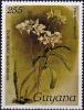 Colnect-4136-408-Dendrobium-johnsoniae.jpg