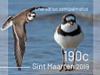 Colnect-5931-521-Birds-of-Sint-Maarten.jpg