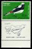 Israeli_stamps_1963_-_Birds_of_Israel_-_Oenanthe.jpg