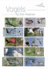 Colnect-5931-511-Birds-of-Sint-Maarten.jpg