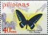 Colnect-2901-919-Palawan-Birdwing-Trogonoptera-trojana.jpg