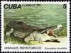 Colnect-671-172-Cuban-Crocodyle-Crocodylus-rhombifer.jpg