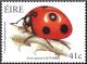 Colnect-1902-324-Seven-Spotted-Ladybird-Coccinella-septempunctata.jpg