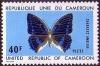 Colnect-1411-886-Blue-spotted-Charaxes-Charaxes-ameliae.jpg