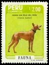 Colnect-1646-238-Peruvian-Naked-Dog-Canis-lupus-familiaris.jpg