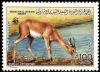 Colnect-1648-474-Slender-horned-Gazelle-Gazella-leptoceros.jpg