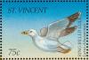 Colnect-1755-606-Ring-billed-Gull-Larus-delawarensis.jpg