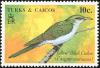 Colnect-1764-349-Yellow-billed-Cuckoo-Coccyzus-americanus.jpg