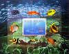 Colnect-1772-896-Seafloor-World-Coral-Reef-Ornamental-Fish.jpg