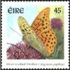 Colnect-1813-223-Silver-washed-Fritillary-Argynnis-paphia.jpg