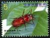 Colnect-1854-418-Long-horned-Beetle-Parandra-lanyuana.jpg