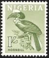 Colnect-1859-330-Yellow-casqued-Hornbill-Ceratogymna-elata.jpg