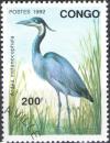 Colnect-2298-146-Black-headed-Heron-Ardea-melanocephala.jpg