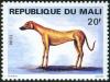 Colnect-2375-592-Greyhound-Canis-lupus-familiaris.jpg