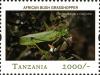 Colnect-2427-321-Green-Milkweed-Locust-Phymateus-viridipes.jpg