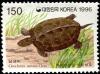 Colnect-2512-924-Chinese-Pond-Turtle-Chinemys-reevesii.jpg