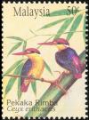 Colnect-4128-859-Black-backed-Kingfisher-Ceyx-erithacus.jpg