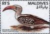 Colnect-4182-859-Northern-Red-billed-Hornbill-Tockus-erythrorhynchus.jpg