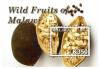 Colnect-4513-711-Wild-Fruits-of-Malawi.jpg