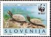 Colnect-688-873-European-pond-tortoise-Emys-orbicularis.jpg