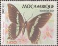 Colnect-1113-941-Narrowly-Green-banded-Swallowtail-Papilio-nireus-lyaeus.jpg