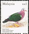 Colnect-1505-038-Green-winged-Pigeon-Chalcophaps-indica.jpg