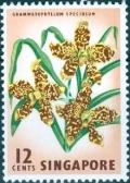 Colnect-1517-298-Tiger-Orchid-Grammatophyllum-speciosum.jpg