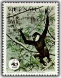Colnect-1632-486-Black-Crested-Gibbon-Hylobates-concolor.jpg