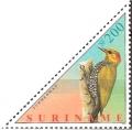Colnect-2021-370-Yellow-throated-Woodpecker-Piculus-flavigula.jpg