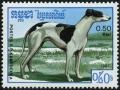 Colnect-3627-949-Greyhound-Canis-lupus-familiaris.jpg