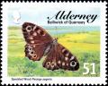 Colnect-5443-500-Speckled-Wood-Butterfly-Pararge-aegeria.jpg