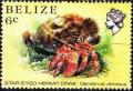 Colnect-740-504-Starry-eyed-Crab-Dardanus-venosus-.jpg