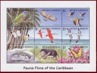 Colnect-1462-874-Fauna-and-flora-of-the-Caribbean.jpg
