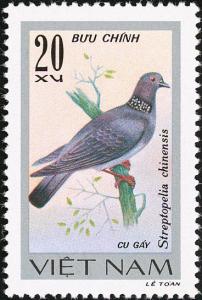 Colnect-5174-470-Chinese-Spotted-Dove-Streptopelia-chinensis.jpg