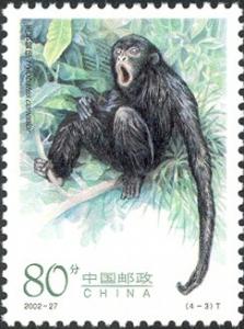 Colnect-1846-800-Black-Crested-Gibbon-Hylobates-concolor.jpg