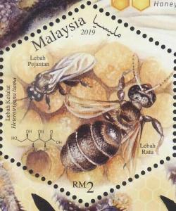 Colnect-5740-134-Common-Notch-toothed-Stingless-Bee-Heterotrigona-itama.jpg