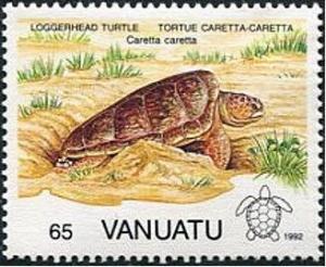 Colnect-1237-628-Loggerhead-Turtle-Caretta-caretta.jpg