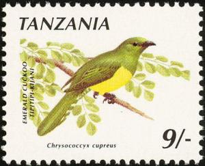 Colnect-1502-604-African-Emerald-Cuckoo-Chrysococcyx-cupreus.jpg
