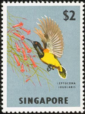 Colnect-1517-294-Yellow-bellied-Sunbird-Cynniris-jugularis.jpg