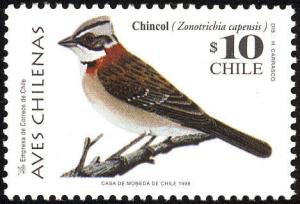 Colnect-1595-833-Rufous-collared-Sparrow-Zonotrichia-capensis.jpg