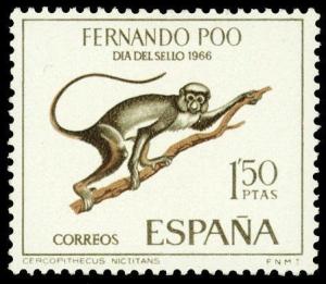 Colnect-1673-211-Greater-Spot-nosed-Monkey-Cercopithecus-nictitans.jpg