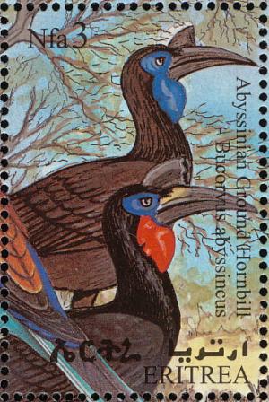 Colnect-1744-740-Abyssinian-Ground-Hornbill-Bucorvus-abyssinicus-.jpg