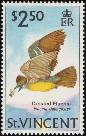 Colnect-1754-356-Yellow-bellied-Elaenia-Elaenia-flavogaster.jpg