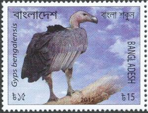 Colnect-1921-917-White-rumped-Vulture-Gyps-bengalensis.jpg