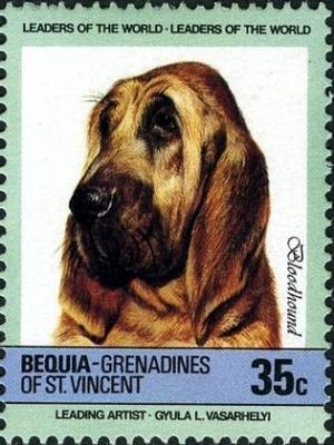 Colnect-2279-918-Bloodhound-Canis-lupus-familiaris.jpg