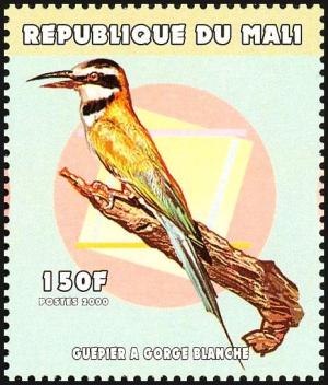 Colnect-2606-922-White-throated-Bee-eater-Merops-albicollis.jpg