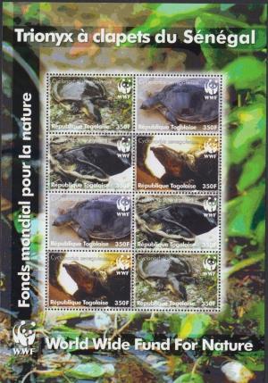 Colnect-2746-949-Senegal-Soft-shelled-Turtle-Cyclanorbis-senegalensis-.jpg