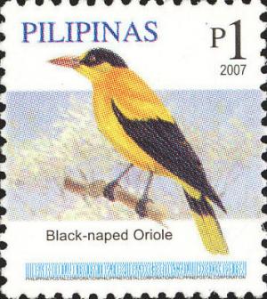 Colnect-2876-018-Black-naped-Oriole-Oriolus-chinensis.jpg