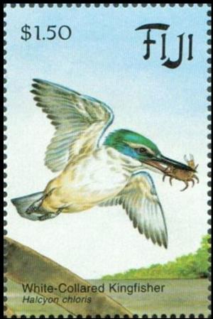 Colnect-3145-230-White-Collared-Kingfisher-Halcyon-chloris.jpg